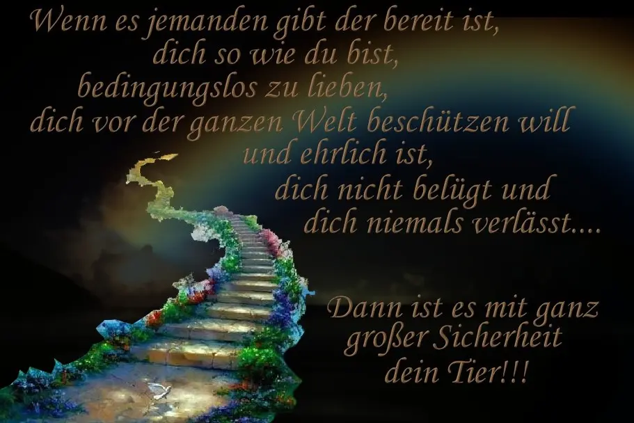 Condolence image of Helmut mit Benny im Herzen