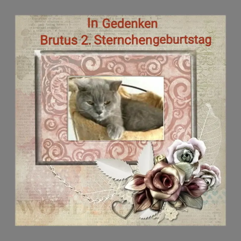 Condolence image of Sabine mit Kaspar tief im Herzen