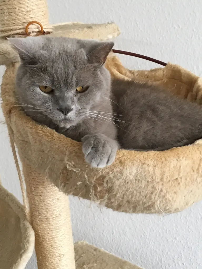Image from Brutus