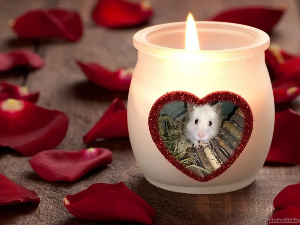 Condolence image of Helga