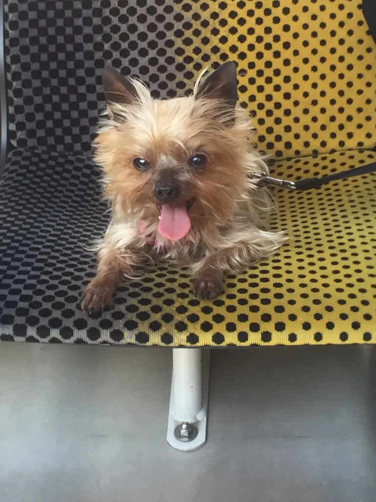 Image from Tiziana 
