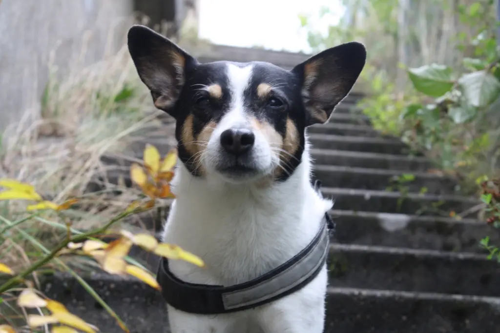 Andachtsbild von Jennifer