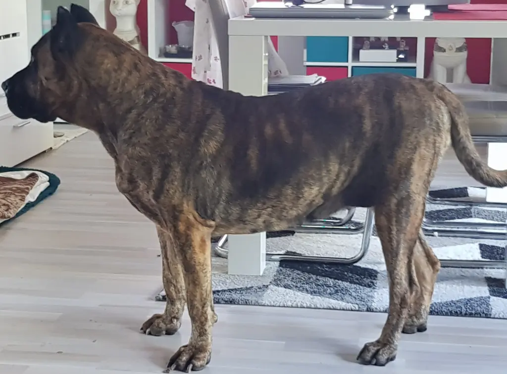 Image from Nemezis