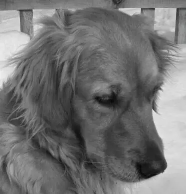 Condolence image of Ursula