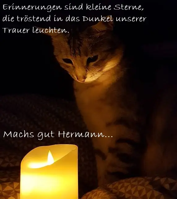 Condolence image of Jenny & Tim Lorenz