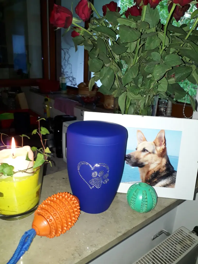 Image from Toni