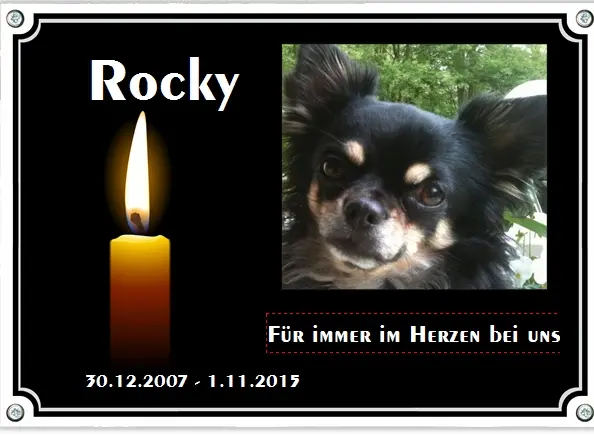 Image from Rocky