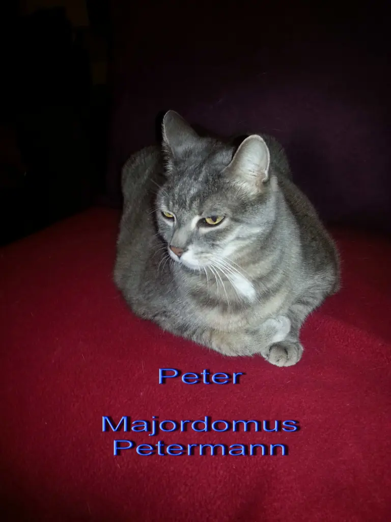Image from Peter