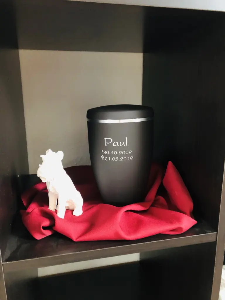Image from Paul