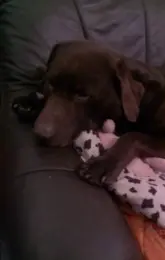 Image from Aiko