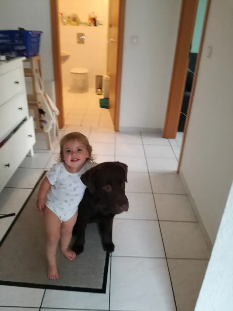 Image from Balu