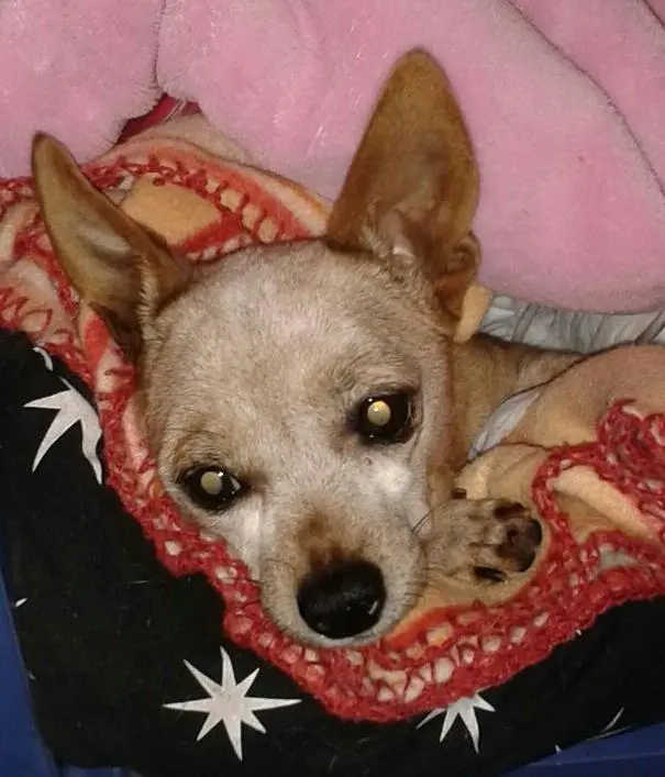 Condolence image of anja
