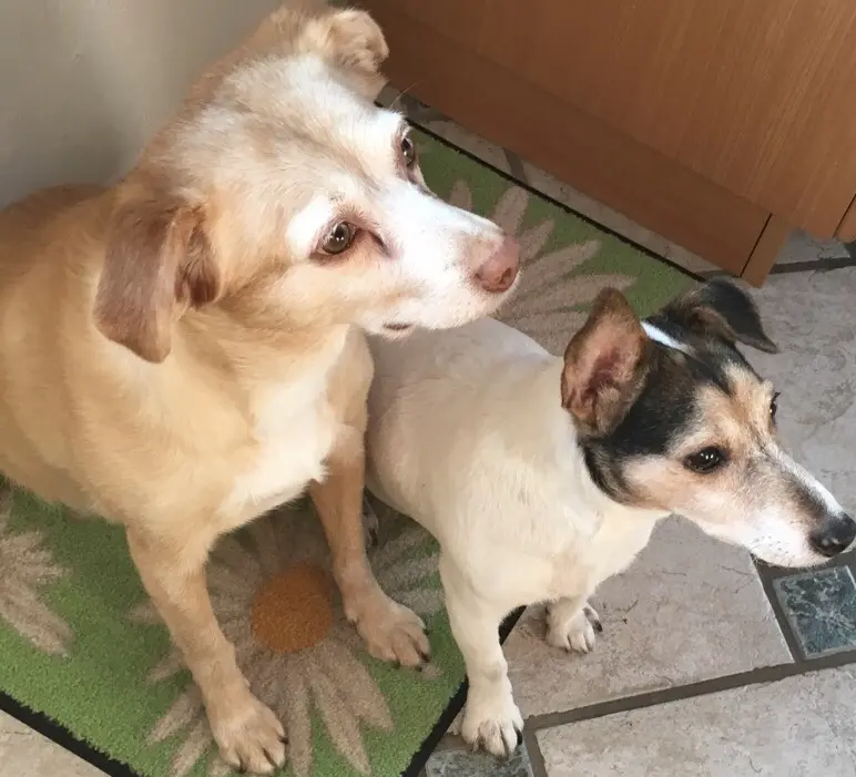 Image from Babsy