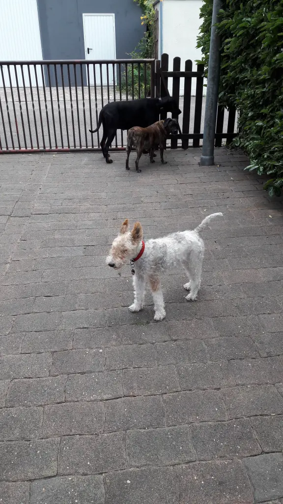 Image from Malou