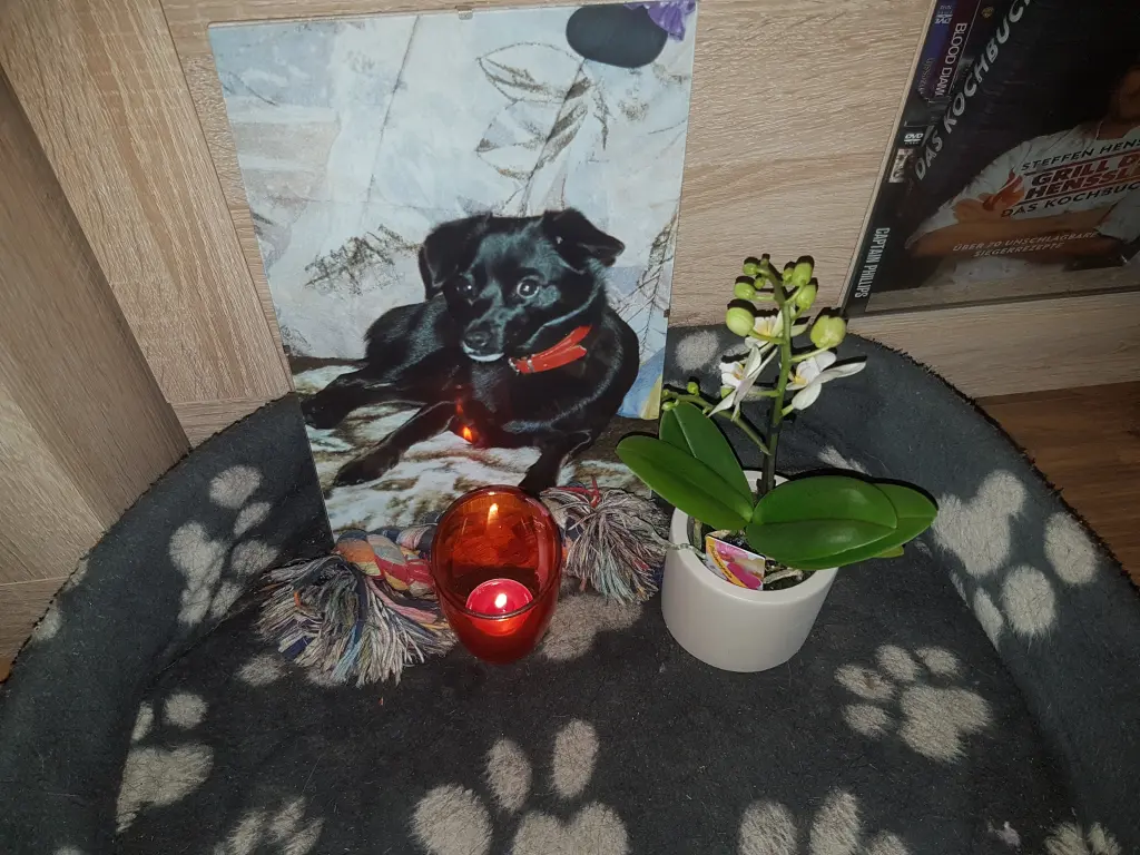 Image from Lea
