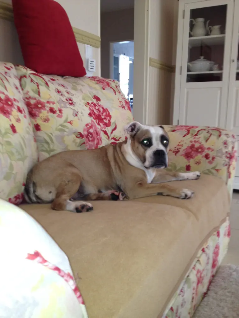 Condolence image of Barbara