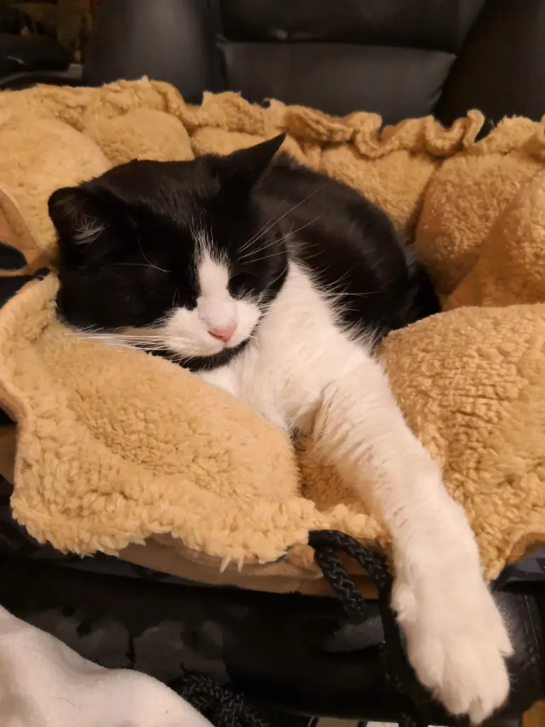 Andachtsbild von Astrid