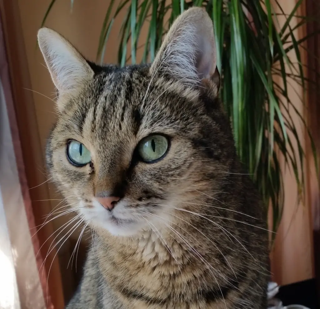 Andachtsbild von Gabi mit Lisa im Herzen