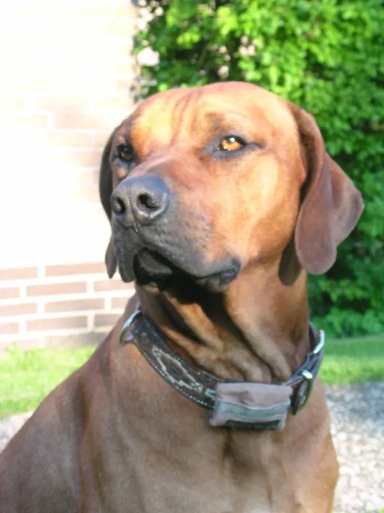 Condolence image of Britta