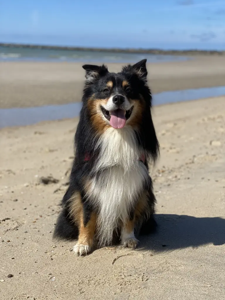 Condolence image of Maike