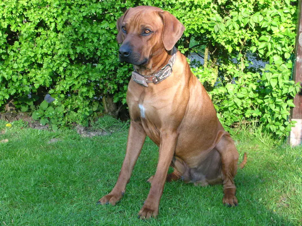 Condolence image of Britta