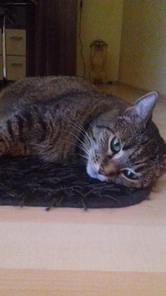 Andachtsbild von Daniela Mandt