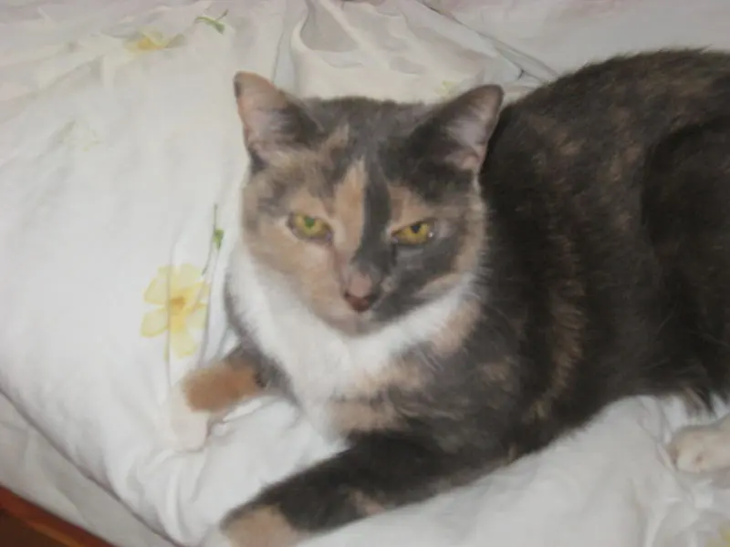 Condolence image of Bianka