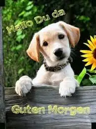 Andachtsbild von Brigitte mit Nelly, Benny und Axel im Herzen