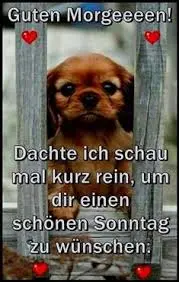Andachtsbild von Brigitte mit Nelly, Benny und Axel im Herzen