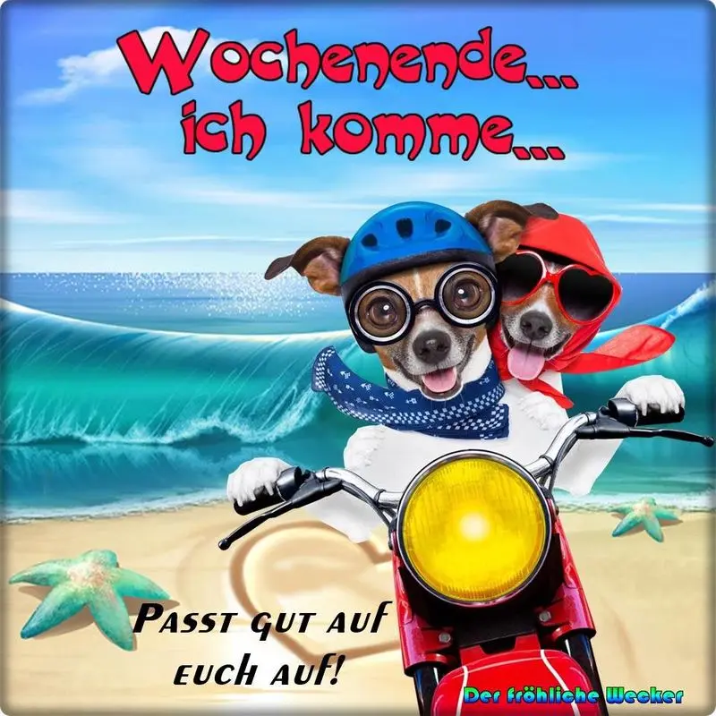Andachtsbild von Brigitte mit Nelly, Benny und Axel im Herzen