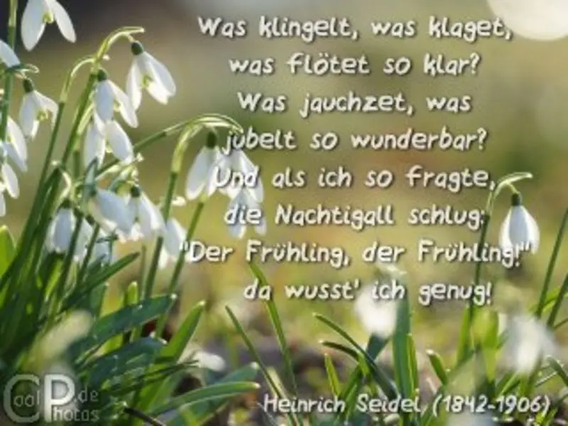Andachtsbild von Brigitte mit Nelly, Benny und Axel im Herzen