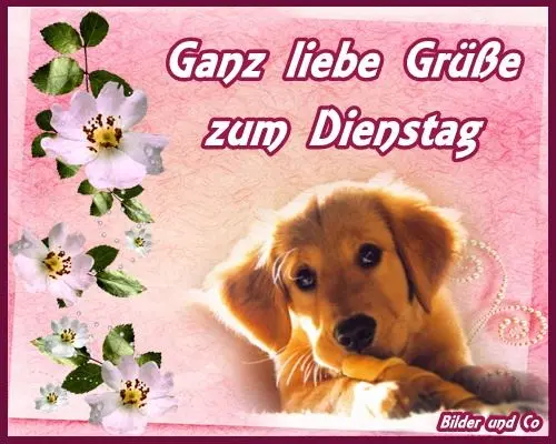 Andachtsbild von Michaela mit Nicko und Ariane ganz tief im ❤
