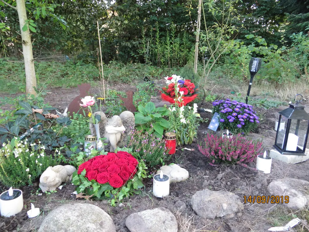 Andachtsbild von Uschi mit Seelenfreunden  Shiva, Jojo und Merlin