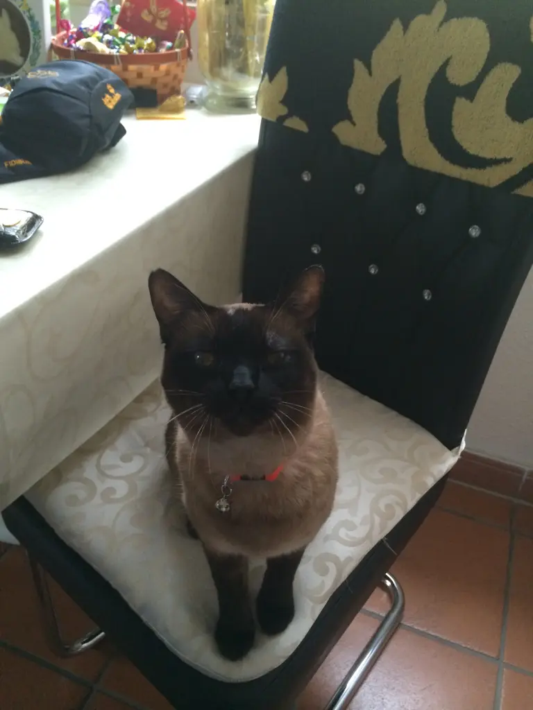 Image from Luna