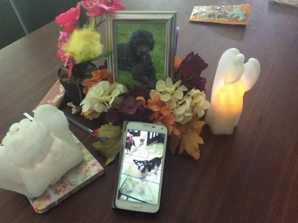 Andachtsbild von Heidi 