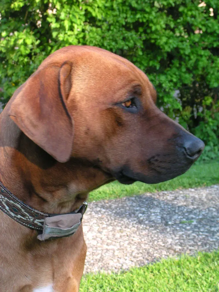 Condolence image of Britta