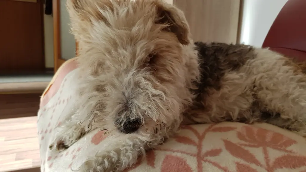 Image from Toby