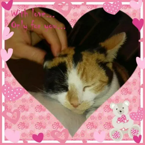 Image from Mausi