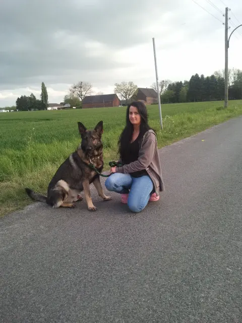 Image from Ayax
