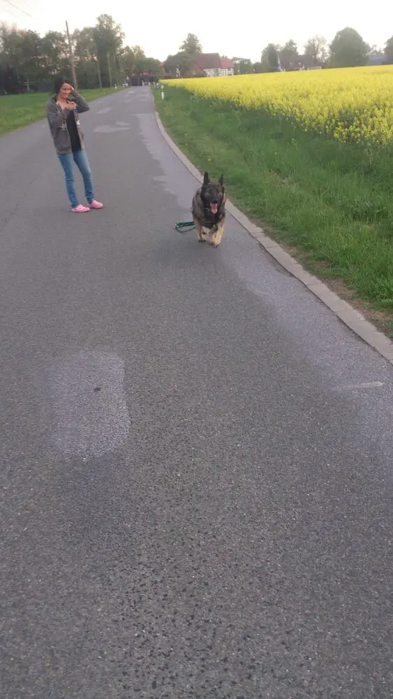 Image from Ayax