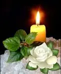 Condolence image of Tanja mit Timmy im Herzen