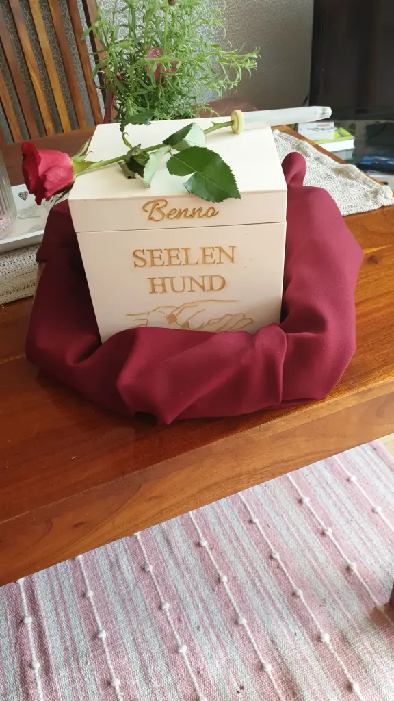 Image from Benno
