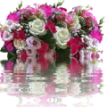 Condolence image of Evelyn mit Nele und Lara ganz tief im Herzen