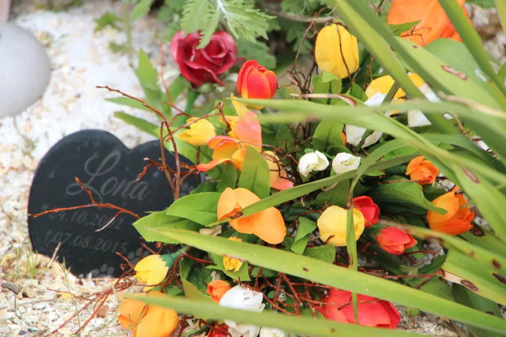 Condolence image of Charlotte