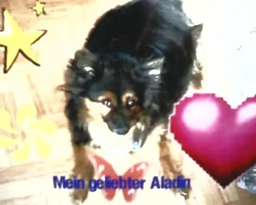 Image from Aladin