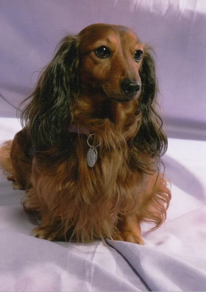 Condolence image of Olga