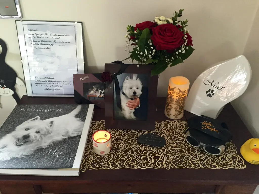 Condolence image of Romy Rachel