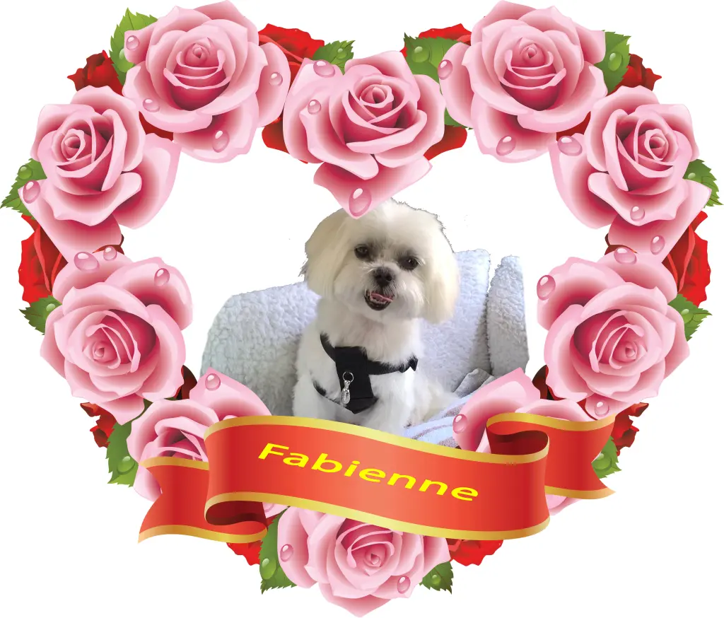 Andachtsbild von Unbekannt