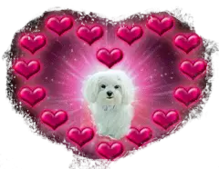 Andachtsbild von Unbekannt