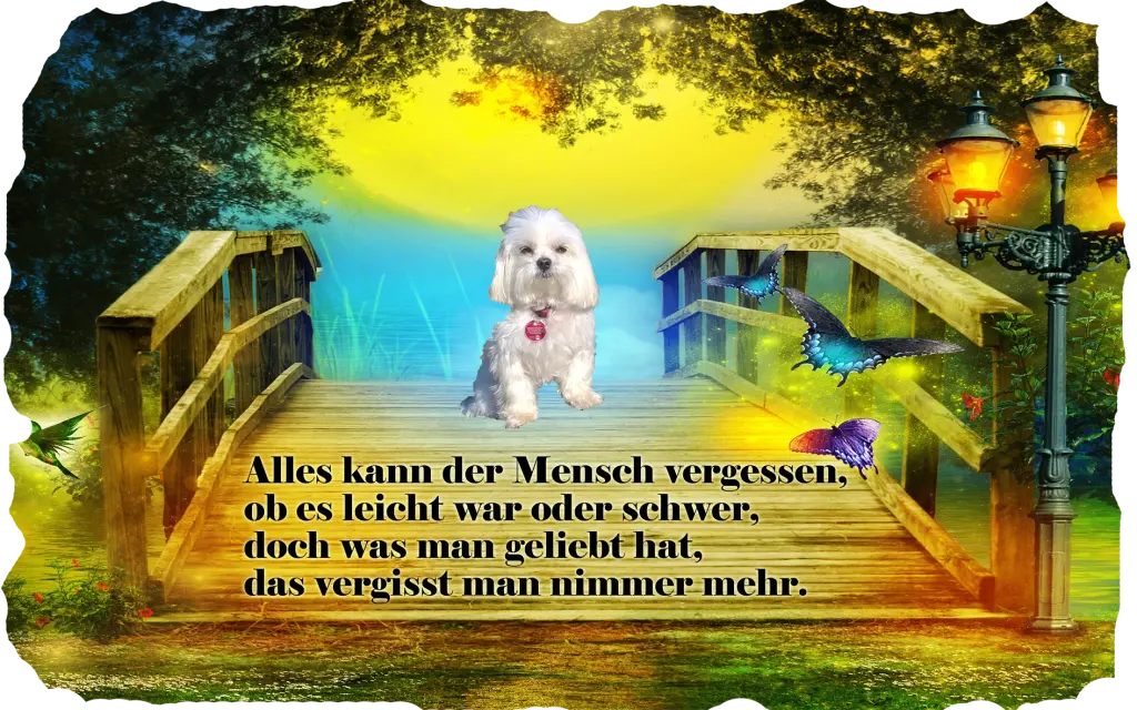 Andachtsbild von Unbekannt